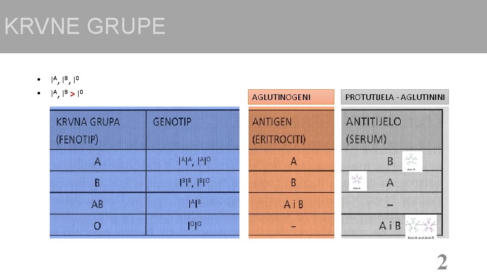 KRVNE GRUPE • IA, IB, I 0 • IA, IB > I 0 AGLUTINOGENI