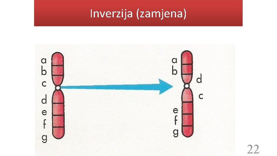 Inverzija (zamjena) 22 