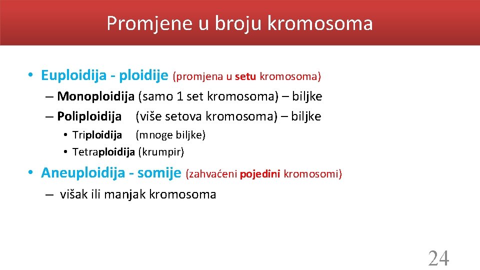 Promjene u broju kromosoma • Euploidija - ploidije (promjena u setu kromosoma) – Monoploidija