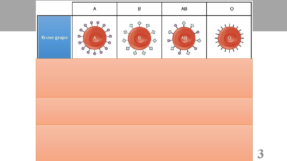 Krvne grupe Antitijela (u plazmi) Antigeni (na membrani) Koju krv može primiti? 3 