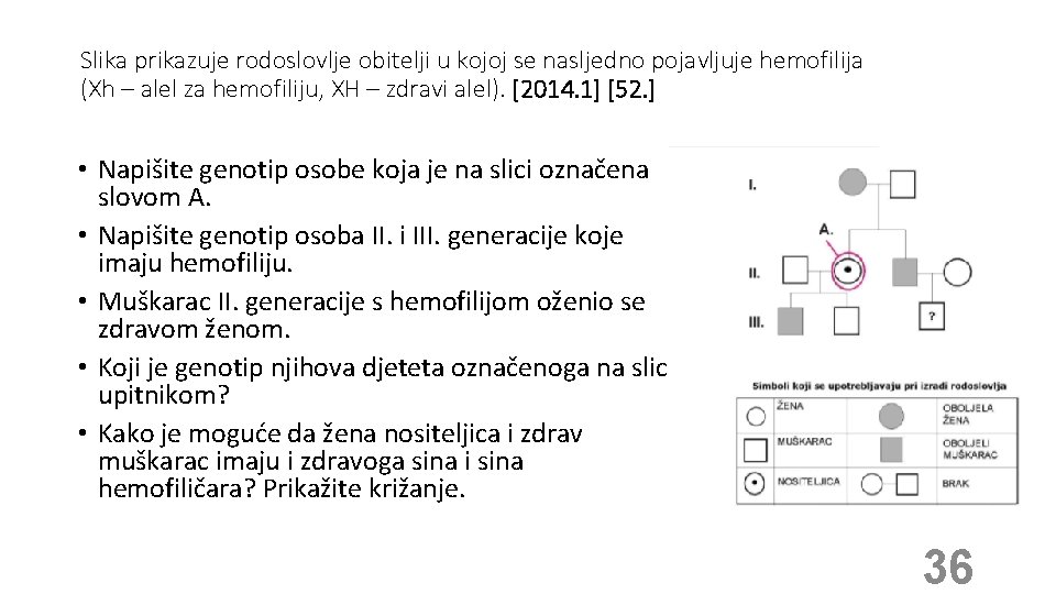 Slika prikazuje rodoslovlje obitelji u kojoj se nasljedno pojavljuje hemofilija (Xh – alel za