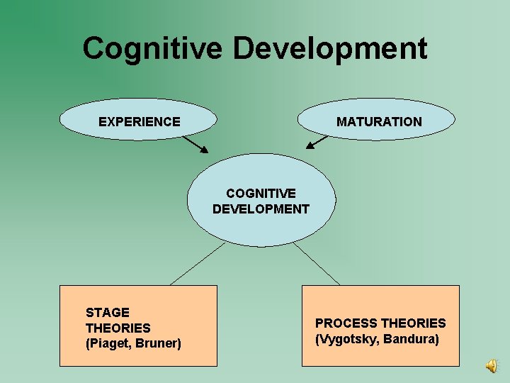 Cognitive Development EXPERIENCE MATURATION COGNITIVE DEVELOPMENT STAGE THEORIES (Piaget, Bruner) PROCESS THEORIES (Vygotsky, Bandura)