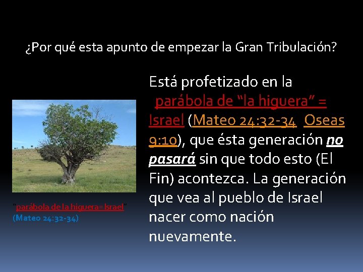 ¿Por qué esta apunto de empezar la Gran Tribulación? “parábola de la higuera=Israel” (Mateo
