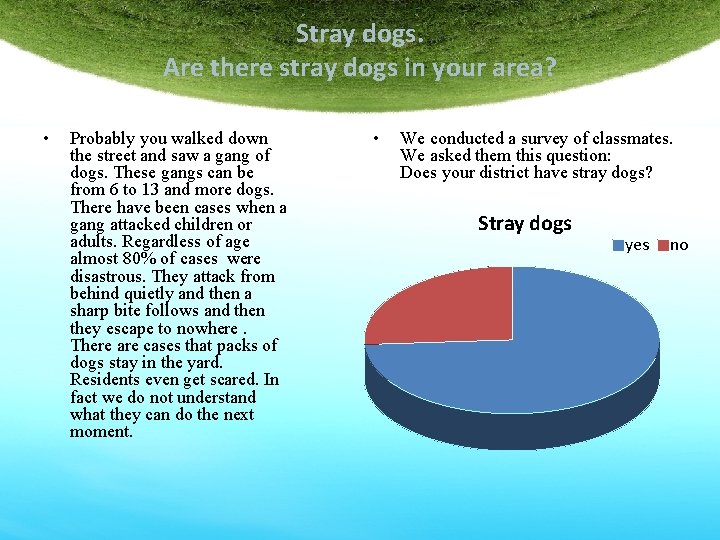 Stray dogs. Are there stray dogs in your area? • Probably you walked down