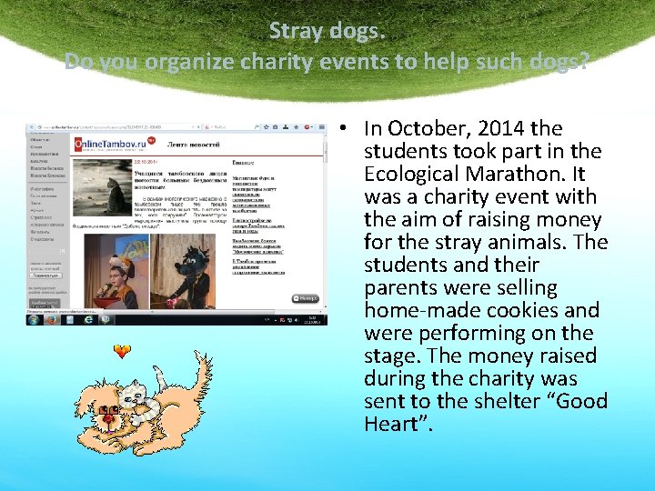 Stray dogs. Do you organize charity events to help such dogs? • In October,