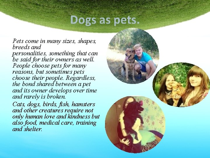 Dogs as pets. Pets come in many sizes, shapes, breeds and personalities, something that