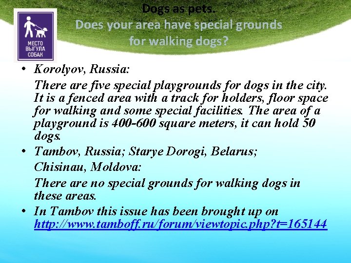 Dogs as pets. Does your area have special grounds for walking dogs? • Korolyov,