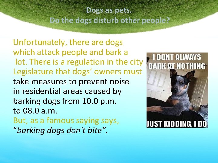 Dogs as pets. Do the dogs disturb other people? Unfortunately, there are dogs which