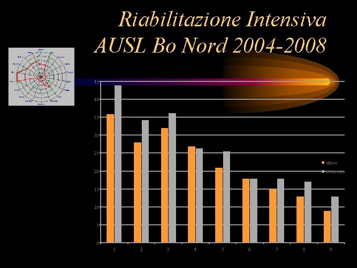 Riabilitazione Intensiva AUSL Bo Nord 2004 -2008 45 40 35 30 25 atteso 20
