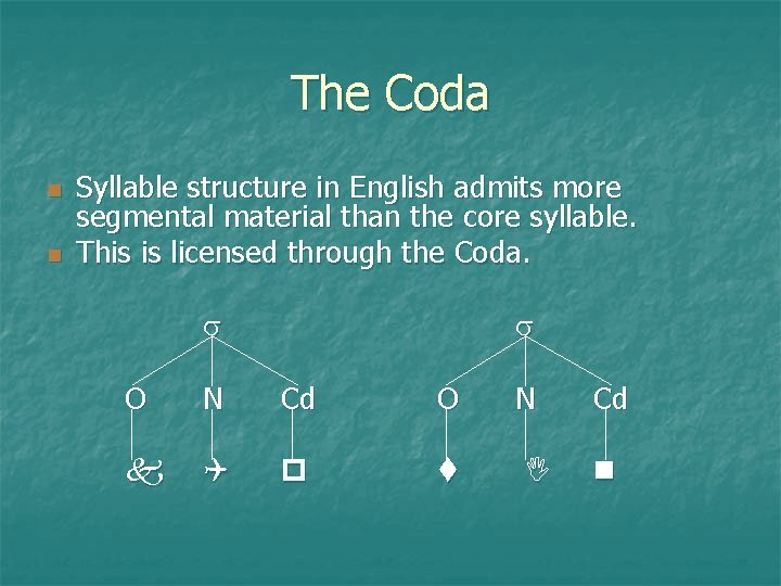 The Coda Syllable structure in English admits more segmental material than the core syllable.