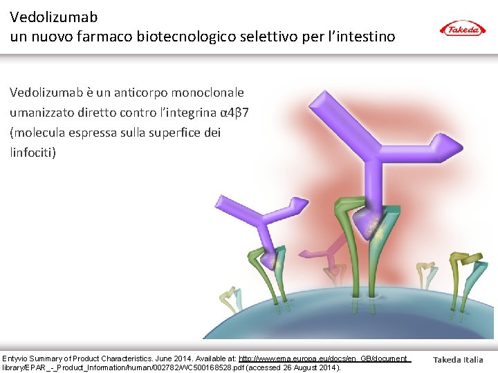 Vedolizumab un nuovo farmaco biotecnologico selettivo per l’intestino Vedolizumab è un anticorpo monoclonale umanizzato