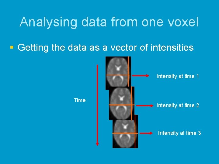 Analysing data from one voxel § Getting the data as a vector of intensities