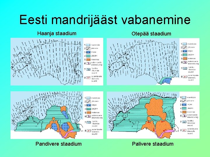 Eesti mandrijääst vabanemine Haanja staadium Pandivere staadium Otepää staadium Palivere staadium 