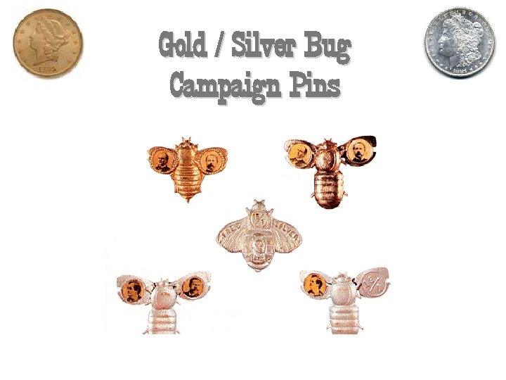 Gold / Silver Bug Campaign Pins 