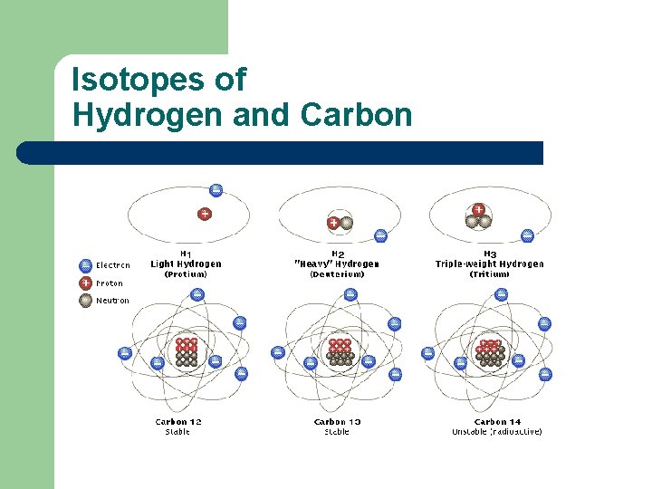 Isotopes of Hydrogen and Carbon 