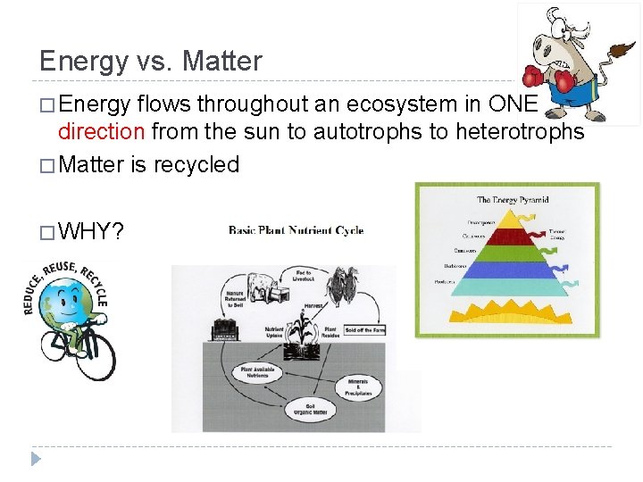 Energy vs. Matter � Energy flows throughout an ecosystem in ONE direction from the