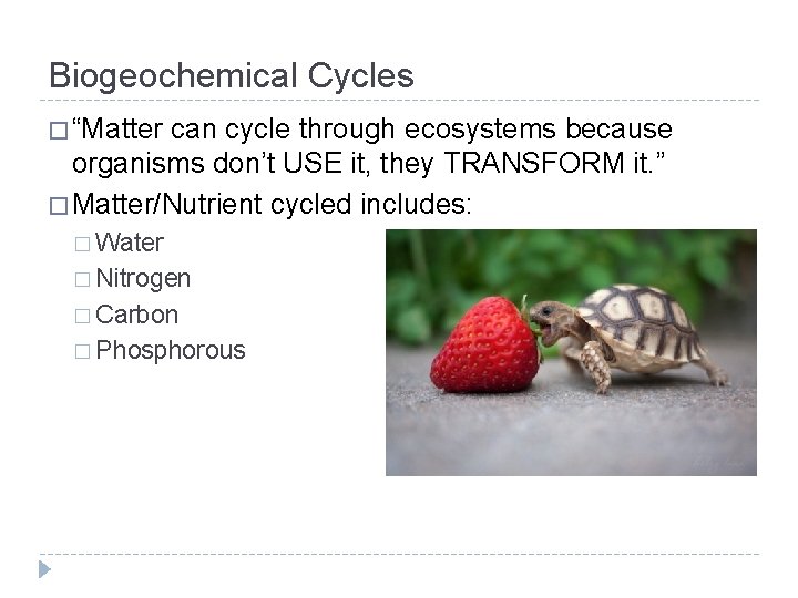 Biogeochemical Cycles � “Matter can cycle through ecosystems because organisms don’t USE it, they