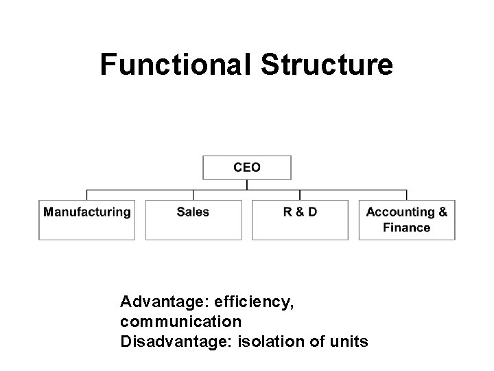Functional Structure Advantage: efficiency, communication Disadvantage: isolation of units 