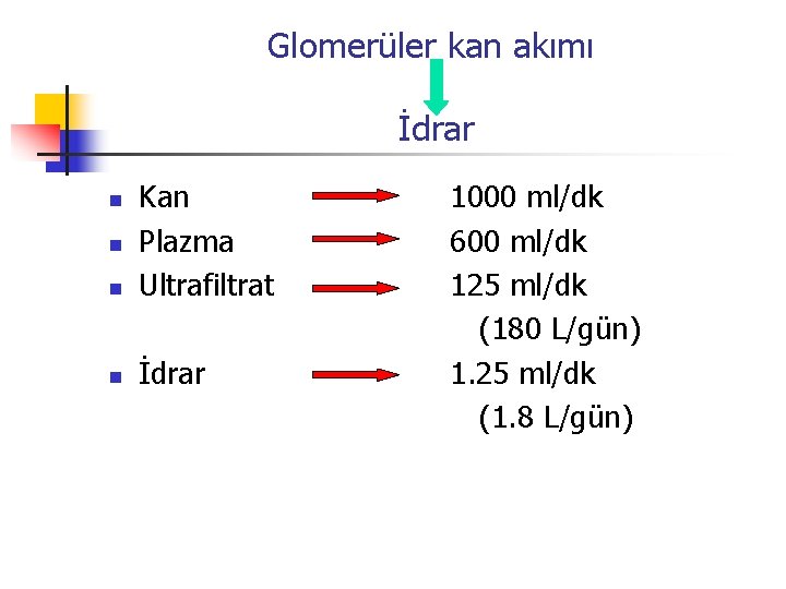 Glomerüler kan akımı İdrar n Kan Plazma Ultrafiltrat n İdrar n n 1000 ml/dk