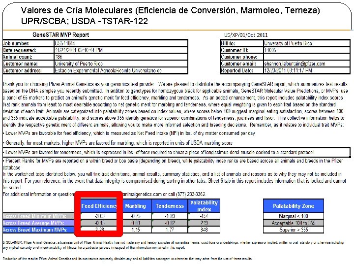 Valores de Cría Moleculares (Eficiencia de Conversión, Marmoleo, Terneza) UPR/SCBA; USDA -TSTAR-122 