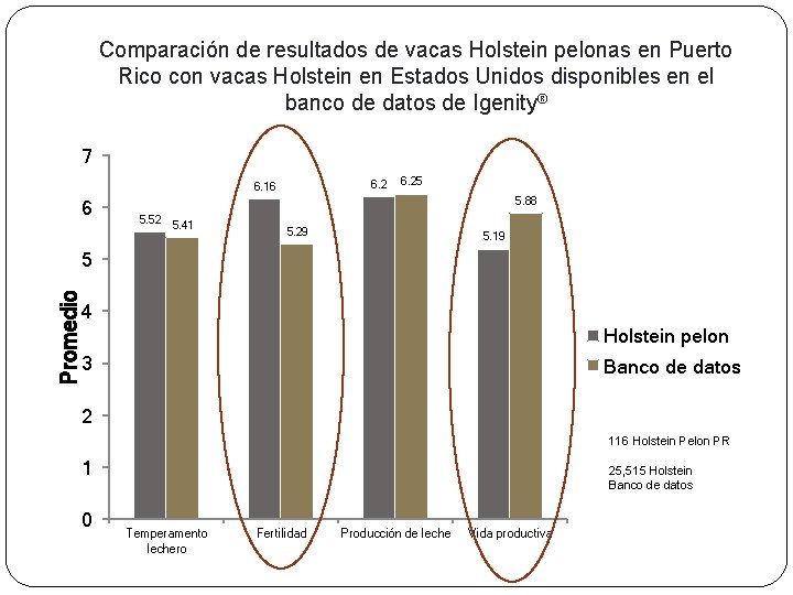 Comparación de resultados de vacas Holstein pelonas en Puerto Rico con vacas Holstein en