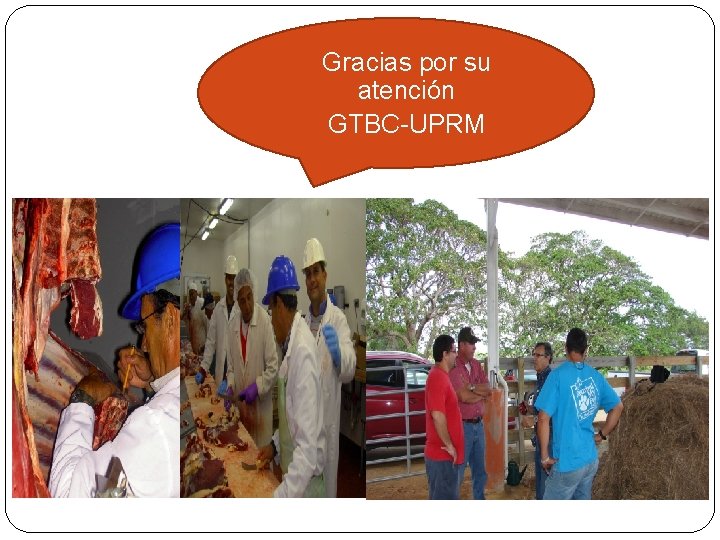 �Gracias por su atención �GTBC-UPRM 