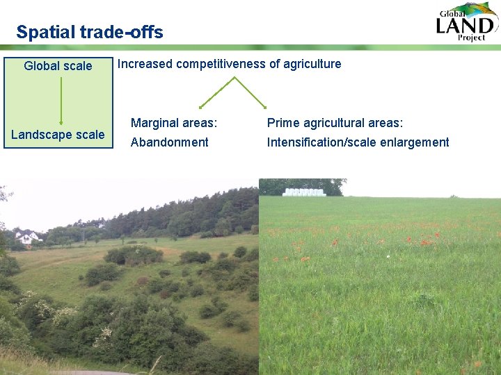 Spatial trade-offs Global scale Landscape scale Increased competitiveness of agriculture Marginal areas: Prime agricultural