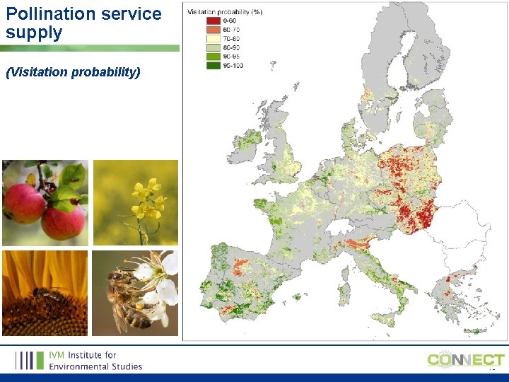 Pollination service supply (Visitation probability) 19 