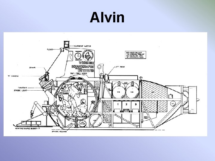 Alvin 