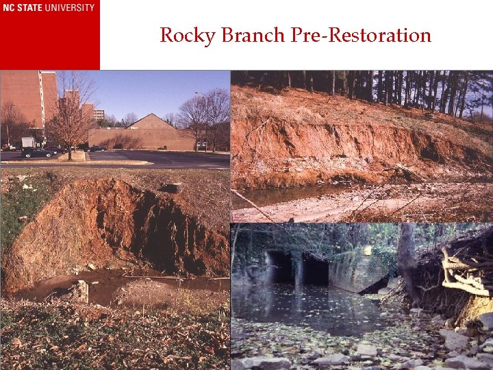 Rocky Branch Pre-Restoration www. ncsu. edu/sustainability 