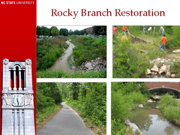 Rocky Branch Restoration www. ncsu. edu/sustainability 