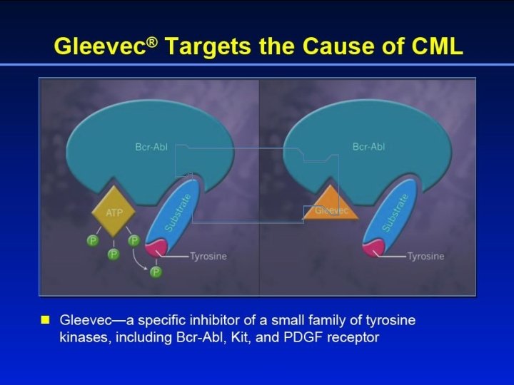 Gleevec® Targets the Cause of CML 