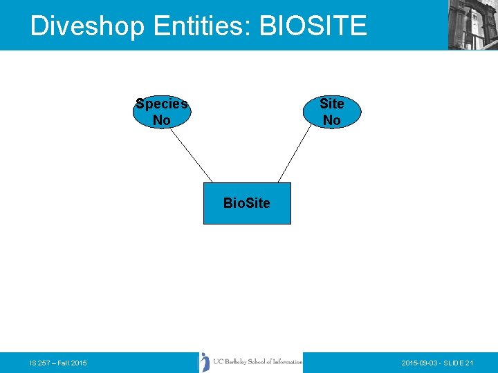 Diveshop Entities: BIOSITE Species No Site No Bio. Site IS 257 – Fall 2015 Diveshop Entities: BIOSITE Species No Site No Bio. Site IS 257 – Fall 2015