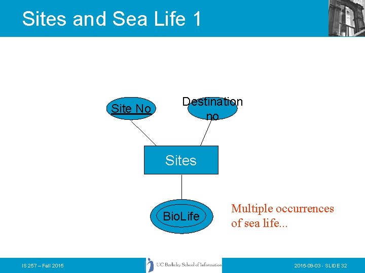Sites and Sea Life 1 Site No Destination no Sites Bio. Life IS 257 Sites and Sea Life 1 Site No Destination no Sites Bio. Life IS 257