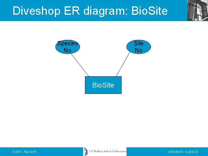 Diveshop ER diagram: Bio. Site Species No Site No Bio. Site IS 257 – Diveshop ER diagram: Bio. Site Species No Site No Bio. Site IS 257 –