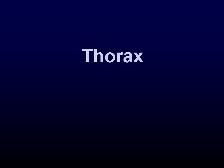 Thorax 