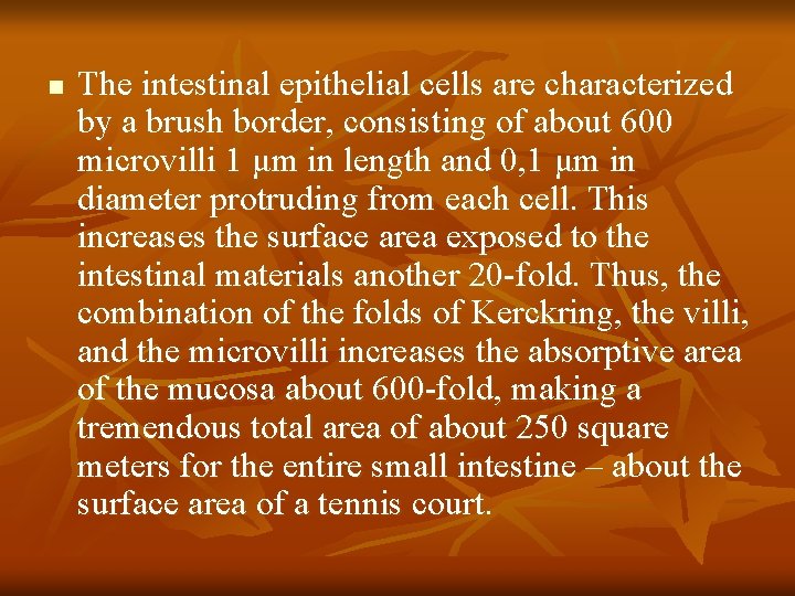 n The intestinal epithelial cells are characterized by a brush border, consisting of about