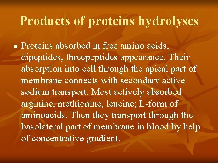 Products of proteins hydrolyses n Proteins absorbed in free amino acids, dipeptides, threepeptides appearance.