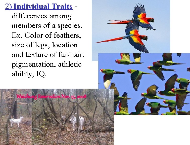 2) Individual Traits - Traits differences among members of a species. Ex. Color of