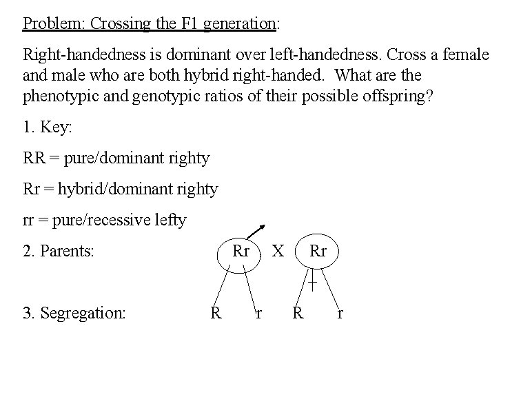 Problem: Crossing the F 1 generation: Right-handedness is dominant over left-handedness. Cross a female