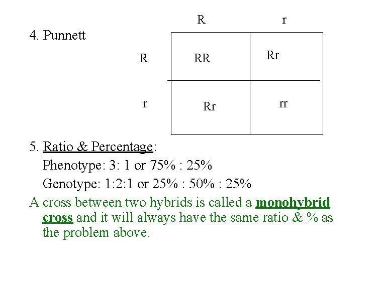 R r 4. Punnett R r RR Rr Rr rr 5. Ratio & Percentage: