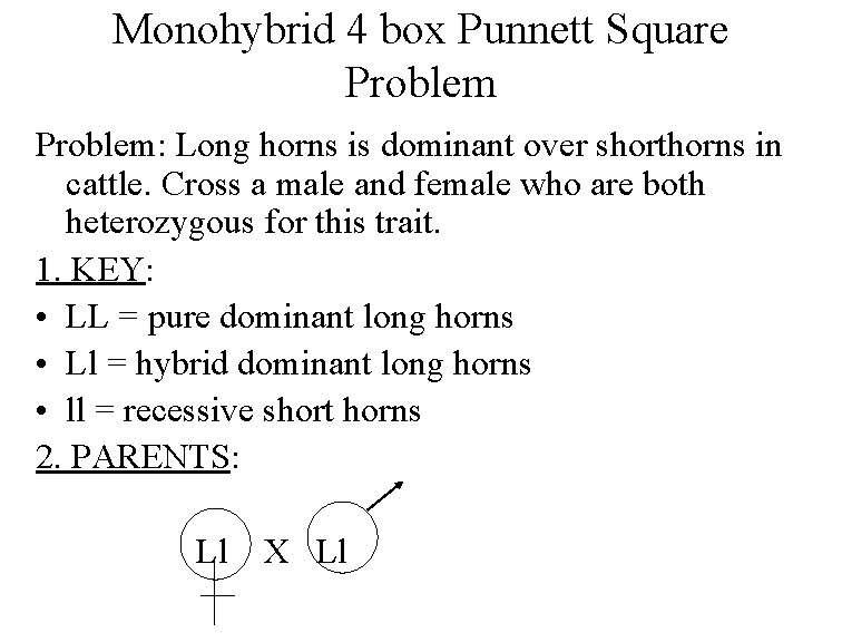 Monohybrid 4 box Punnett Square Problem: Long horns is dominant over shorthorns in cattle.