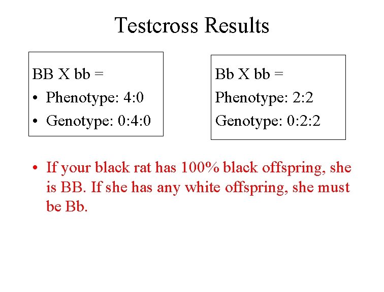 Testcross Results BB X bb = • Phenotype: 4: 0 • Genotype: 0: 4: