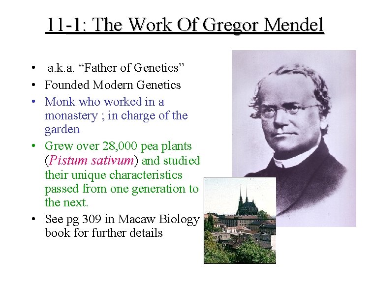 11 -1: The Work Of Gregor Mendel • a. k. a. “Father of Genetics”
