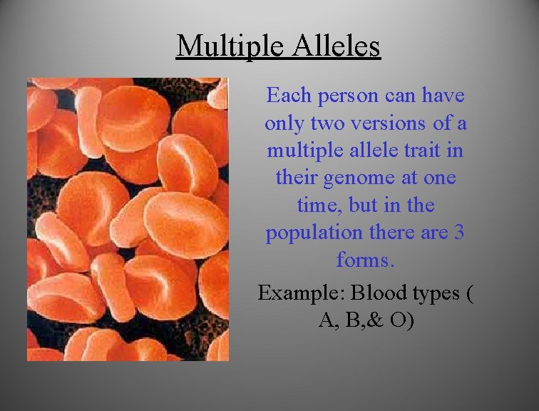 Multiple Alleles Each person can have only two versions of a multiple allele trait