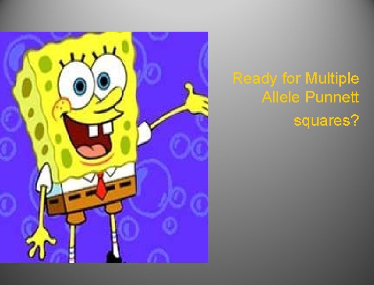  Ready for Multiple Allele Punnett squares? 