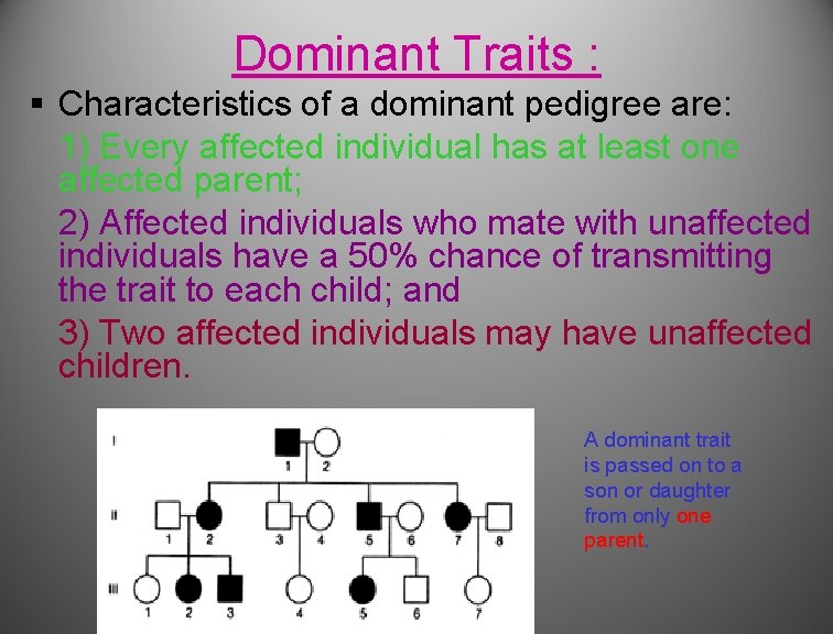 Dominant Traits : § Characteristics of a dominant pedigree are: 1) Every affected individual