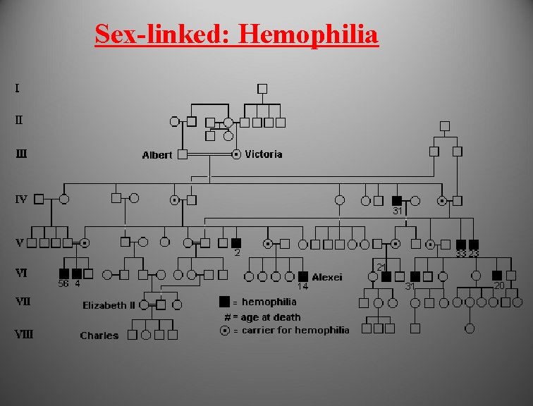  Sex-linked: Hemophilia 