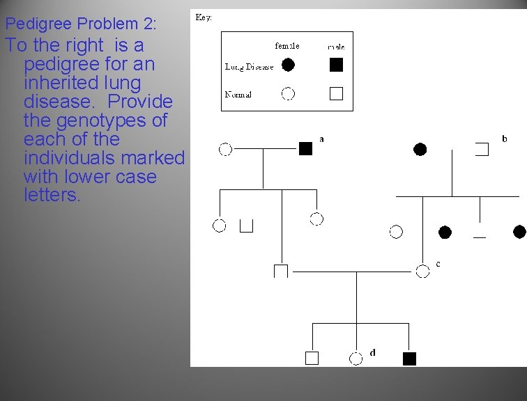 Pedigree Problem 2: To the right is a pedigree for an inherited lung disease.