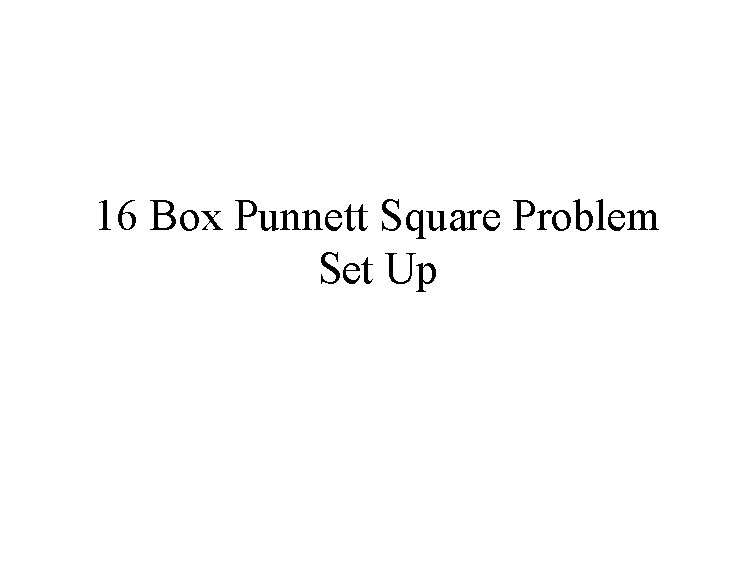 16 Box Punnett Square Problem Set Up 